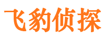 鹿寨市调查公司